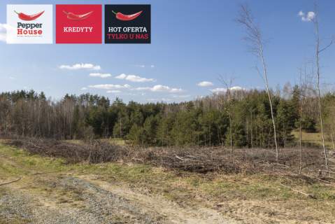 Michalin Działka 10 079 m MPZP 27MN jezioro
