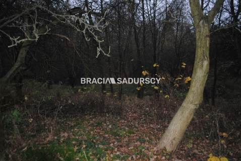 Działka rolna na sprzedaż, 17000 m2, Libertów