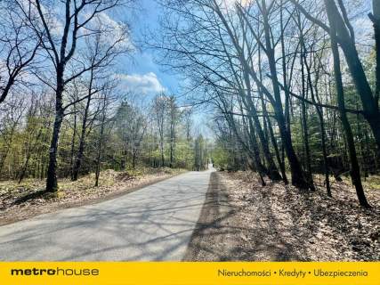 Duża działka leśna 39 830 m