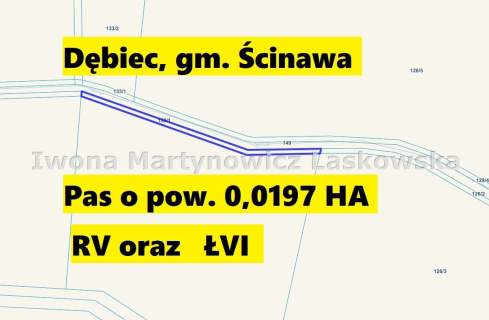 Grunty rolne i łąki - Dębic - Gmina Ścinawa