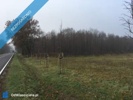 Działki budowlane 1ha oraz 2,13ha rolnych z prawem do zabudowy,...