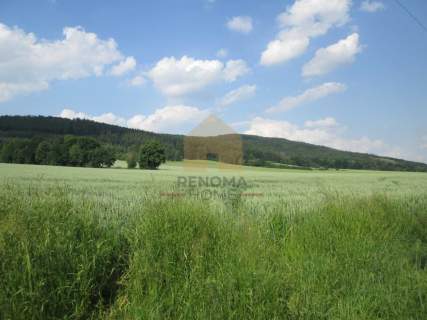 Działka inwestycyjna na sprzedaż, 4700 m2, Dzierżoniów