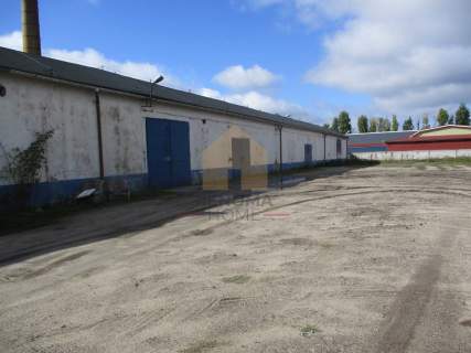 Hala o powierzchni 2.200m2 z biurami w Legnicy.