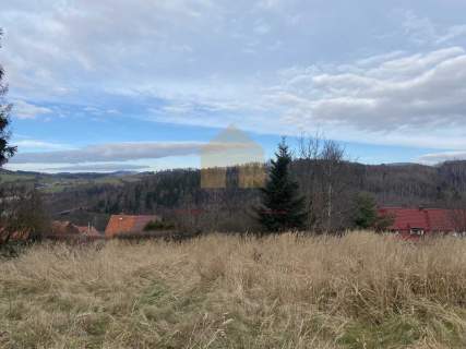Działka z widokiem na góry. Nowa Ruda