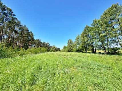 Działka, warunki zabudowy, 2900 m2/Czarne Błoto.