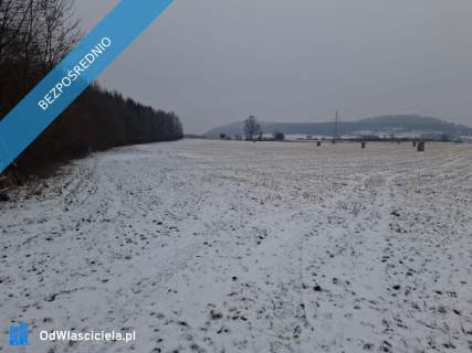 16 ha ziemi Gorzanów
