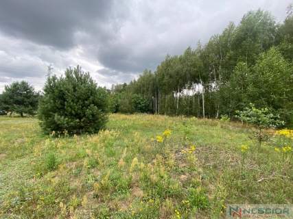 Działka budowlana w Gołąbku 1514m 