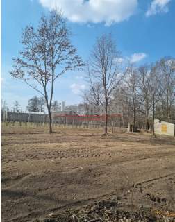 Działka na sprzedaż, 9000 m2, Tomaszówka