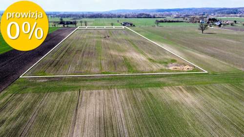 Grunt 4,49 ha z koncepcją 5 domów   Jenin - 0%