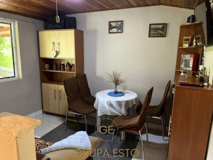 Urokliwy ogródek działkowy z altanką, Brzezie