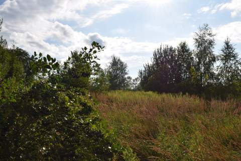 Działka rolna 27a - Hermanowa
