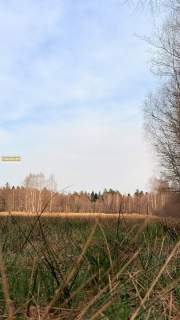 Działka w środku lasu z WZ Wolaniny