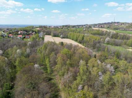 Twój prywatny las blisko Tarnowa - 98 arów spokoju i natury 