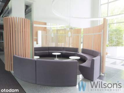 komfortowe biuro do wynajęcia