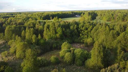 Nietypowa działka 2 ha w Kawęczynie gm. Ciepielów