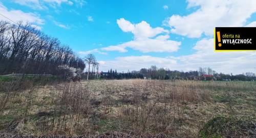 Atrakcyjna działka 0,55 arów w Łubnicach