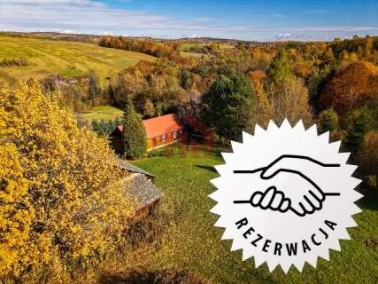 Raj na wsi 6,57ha dom z lasem pod Dębicą