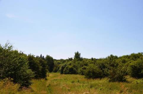 Działka rolno-budow. z szybkim dojazdem do Lublina