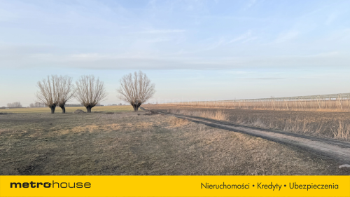Działka na sprzedaż, 5600 m2, Koszajec