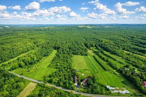 Kotowice siedlisko Jura Krakowsko-Częstochowska