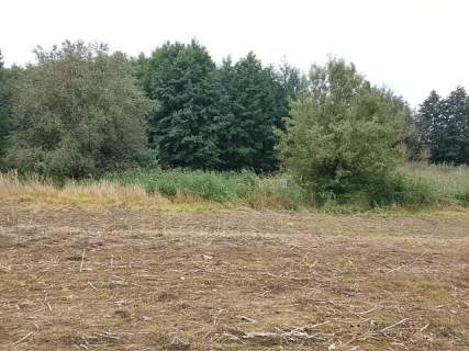 Działka budowlana na sprzedaż, 1492 m2, Stara Dąbrowa