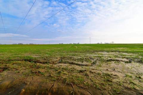 Działka 14ar pod zab. jednorodzinną - Zemborzyce