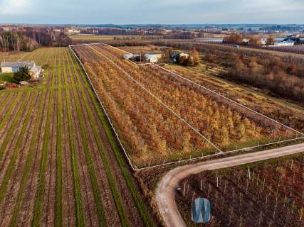 Działki budowlano-rolne MICHRÓW - 2,18 HA