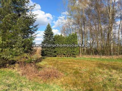 Działka budowlano-rolna Wodzisław 1,5km od centrum