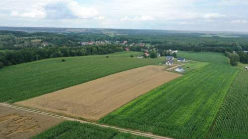 Malownicze działki budowlane Pniewo - OSTATNIA DZIAŁKA