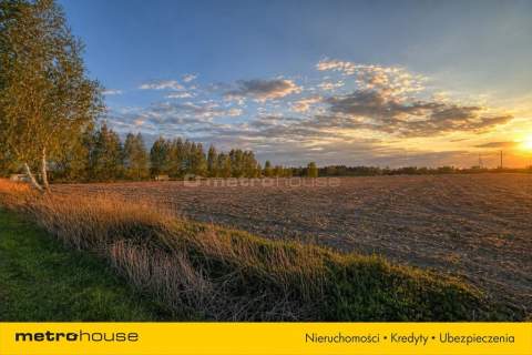 Działka na sprzedaż, 4000m2, Piaski k.Nieborowa,A2