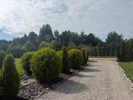 Dom na sprzedaż, 60 m2, Ludowinka