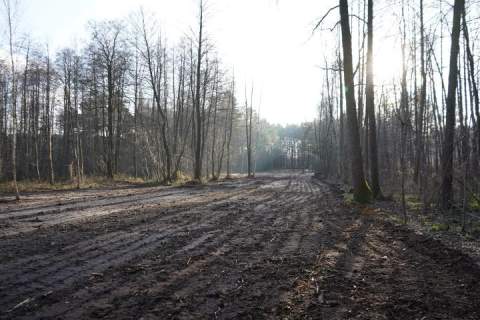 Działka rolna na sprzedaż, 5000 m2, Kąck