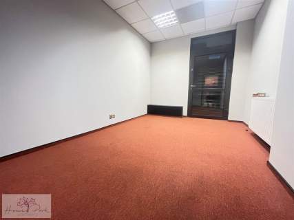 2 w 1 dom gotowa przestrzeń pod biznes - 160m2