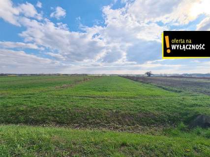 Działka 10 800m2 Łubnice w otoczeniu pól, obok las