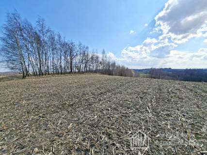 Bodzanów ok. Wieliczki działka bud. 25a MN 56a R