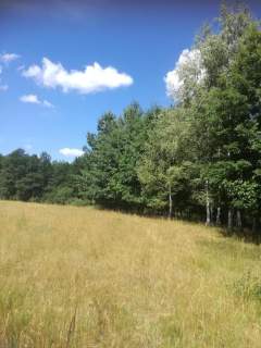 Kolonia Garbatówka, działka rolna, 3,18 ha