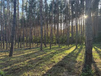 Budowlana uzbrojona Jezioro Chańcza projekt i pozwolenie