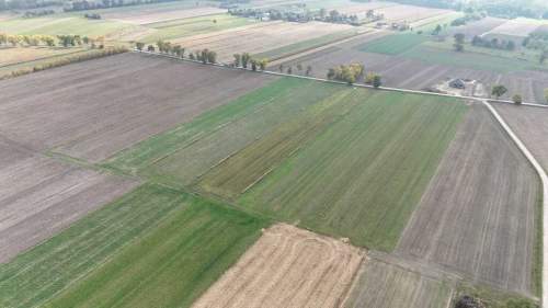 działka budowlane oraz rolna Zduńska Wola S8 Łódź