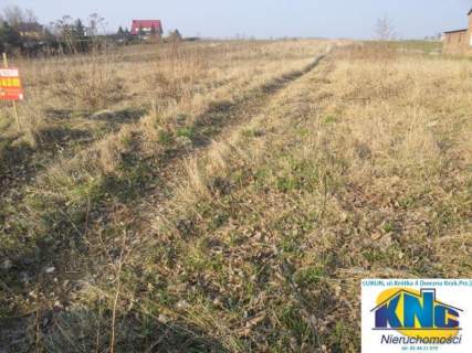 Działka rolna na sprzedaż, 9200 m2, Świdniczek