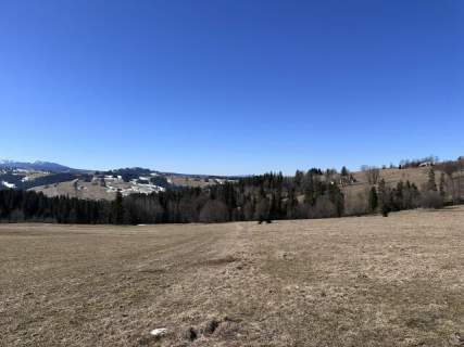 Widokowa działka budowlano-rolna Czerwienne 8827m2