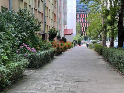 Centrum