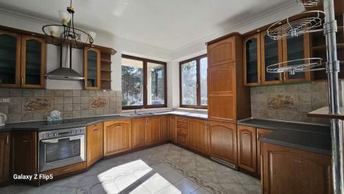 Dom 450 m2 otoczony starodrzewiem