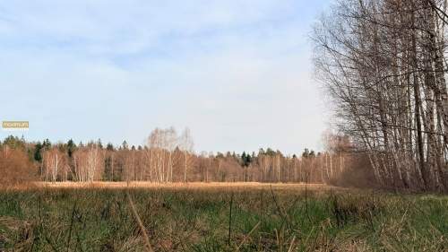 Działka w środku lasu z WZ Wolaniny