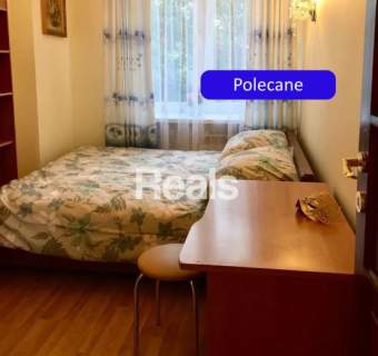 3 oddzielne pokoje w Centrum