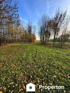 Działka bud-rolna Łomnica -2,47 ha