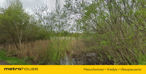 Na sprzedaż działka 2,38ha Kunica Stara