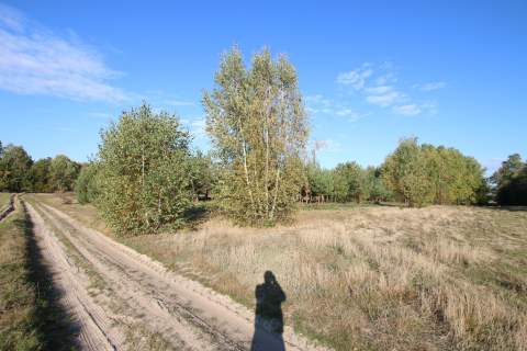 Działka budowlana 15 ar Kozioł g. Baranów