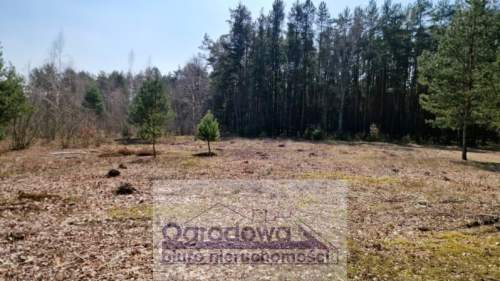 Działka przy lesie