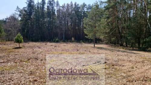 Działka przy lesie