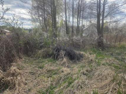 MPZP, spokój, blisko stawy i kąpielisko